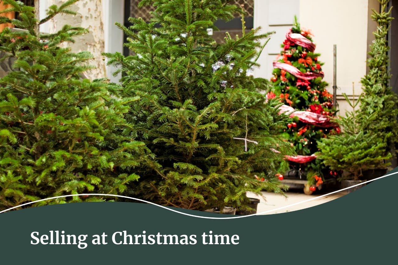 Selling your property at Christmas time with Fall Real Estate