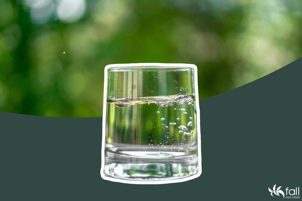 An image of a glass of water