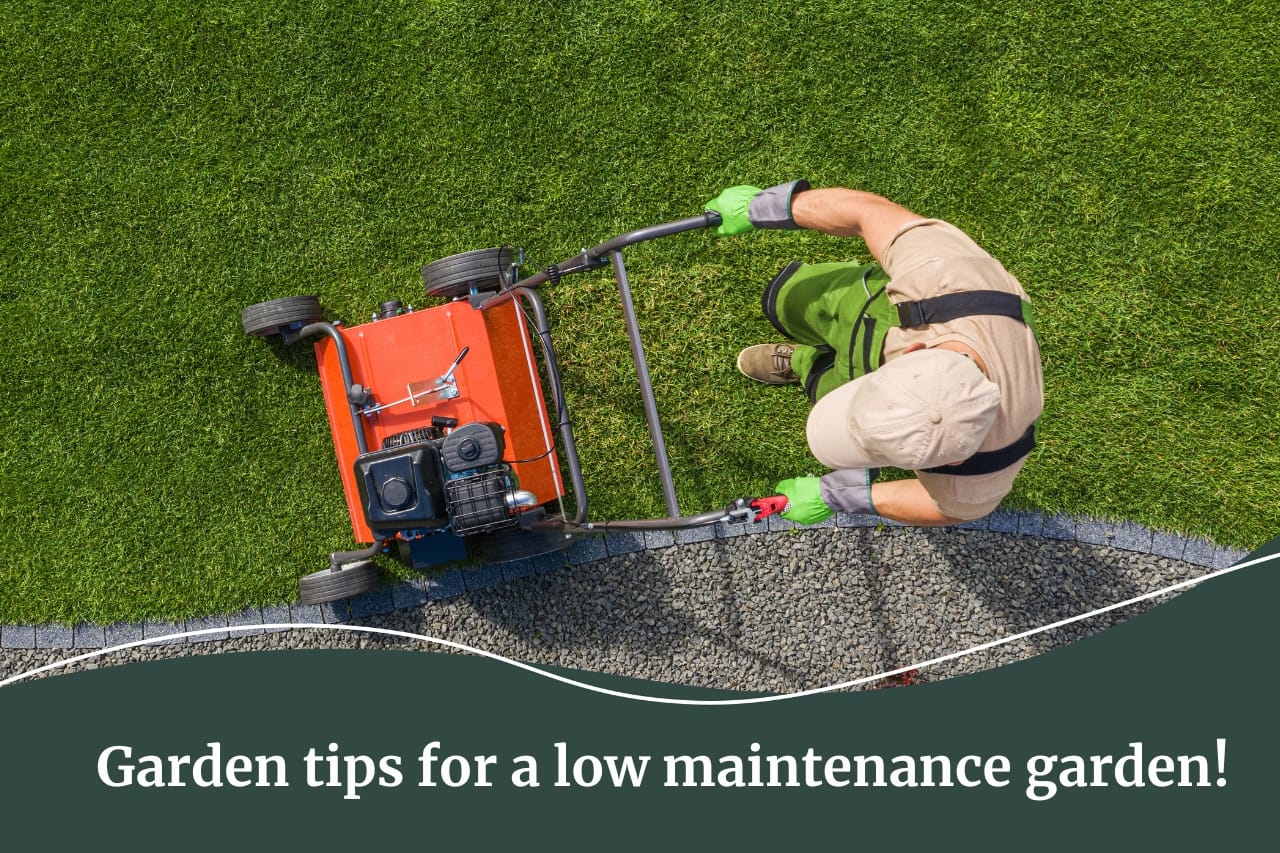 Garden tips for a low maintenance garden by Fall Real Estate