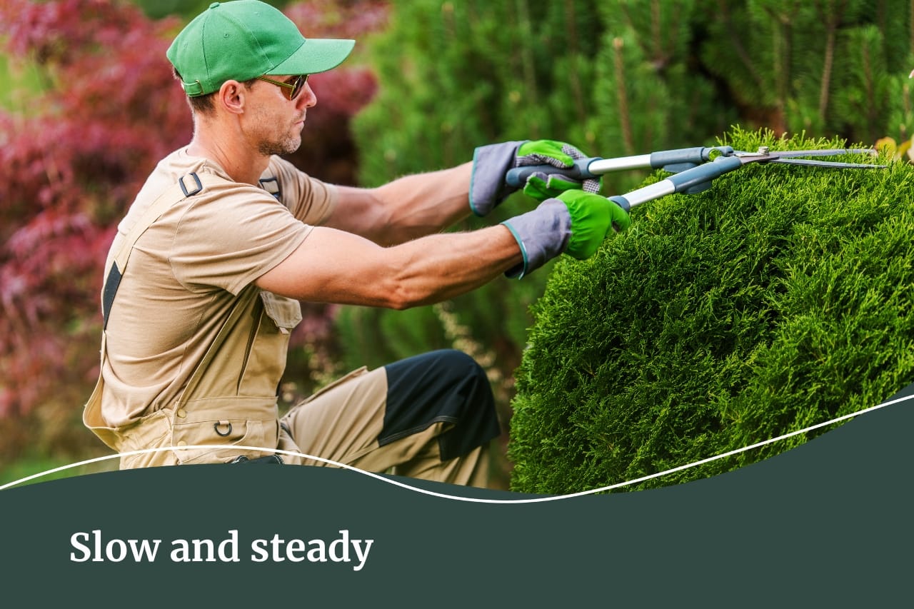 Garden tips for a low maintenance garden | Slow and steady plants | Fall Real Estate