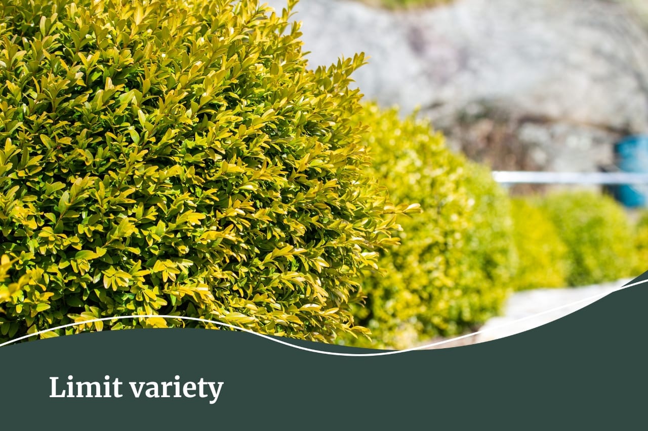 Garden tips for a low maintenance garden | Limit variety planted | Fall Real Estate