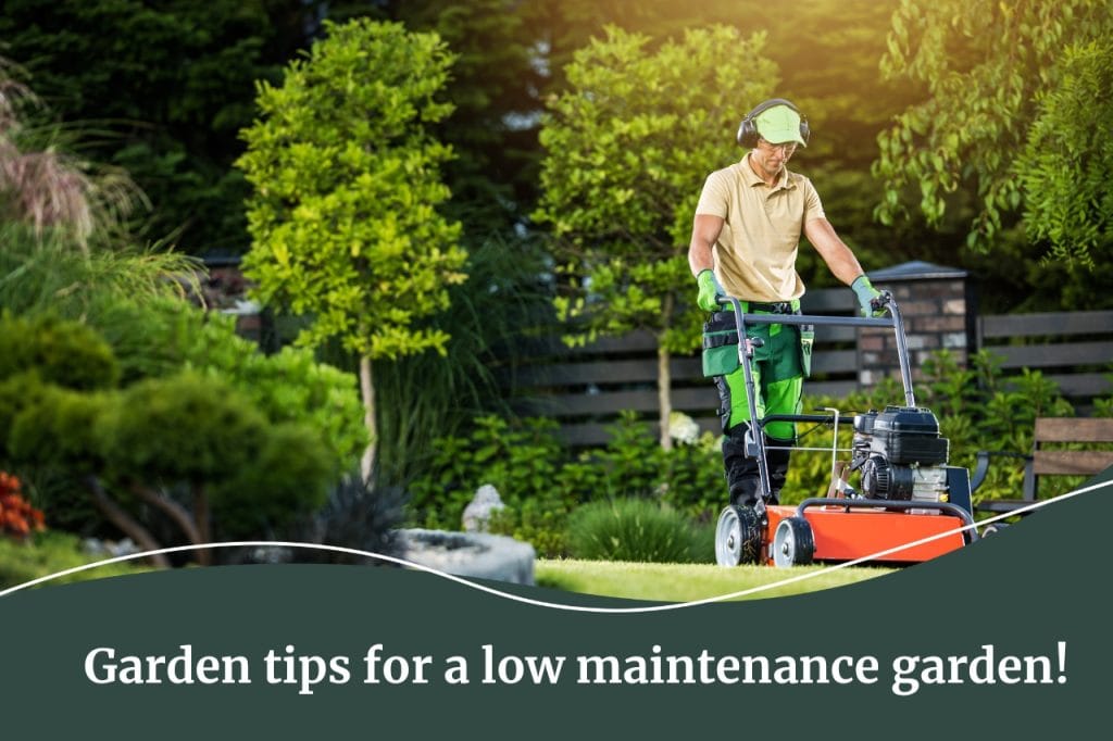 Fall Real Estate Lifestyle resources