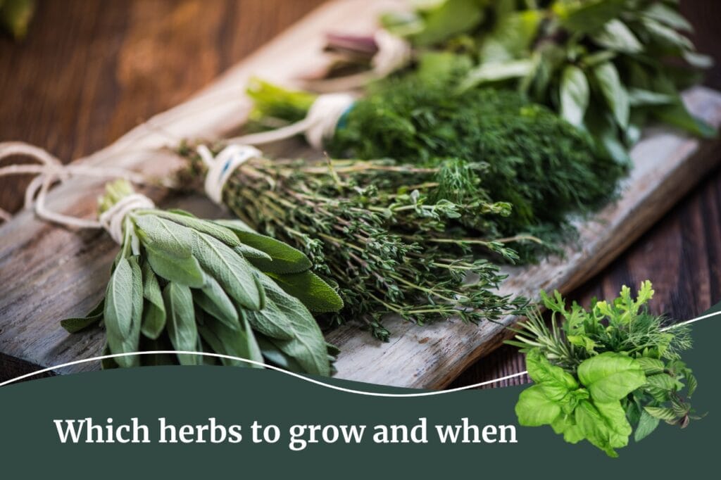 Fall Real Estate Selling Real Estate Resources