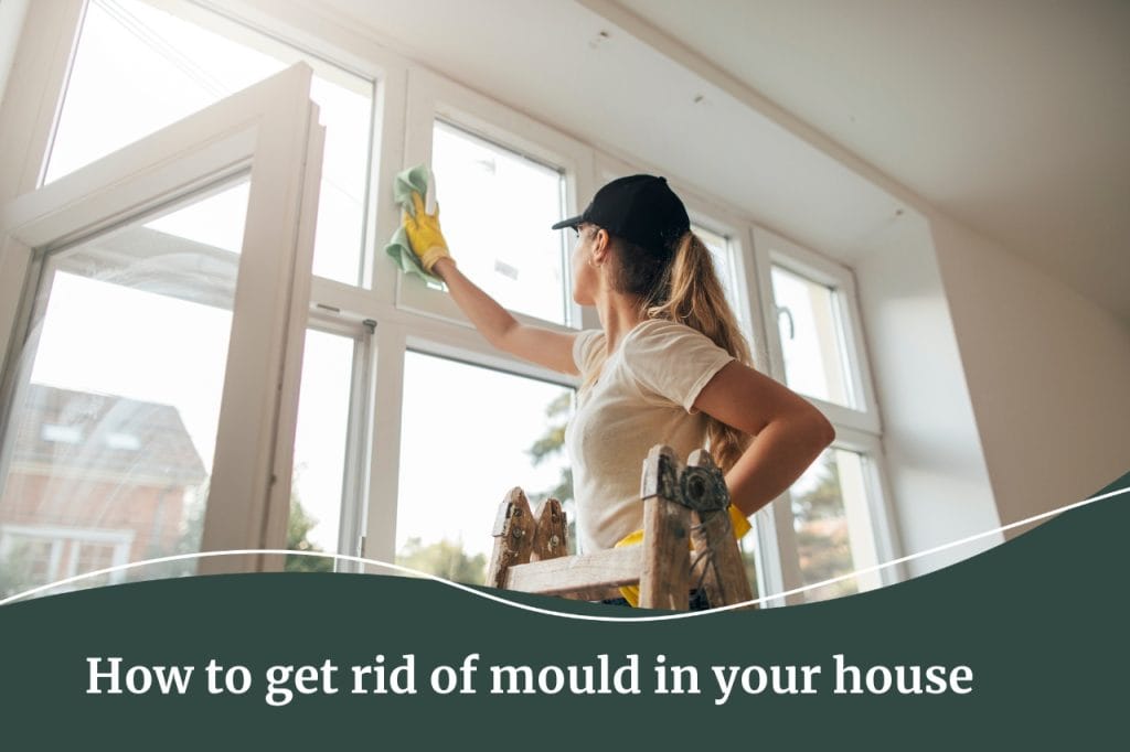 Fall Real Estate Lifestyle resources