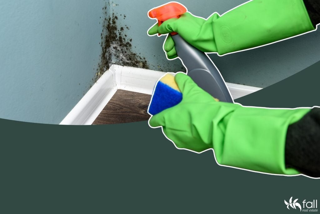 Close up image of a persons hands wearing green gloves as they remove mould from walls and skirting of a home.
