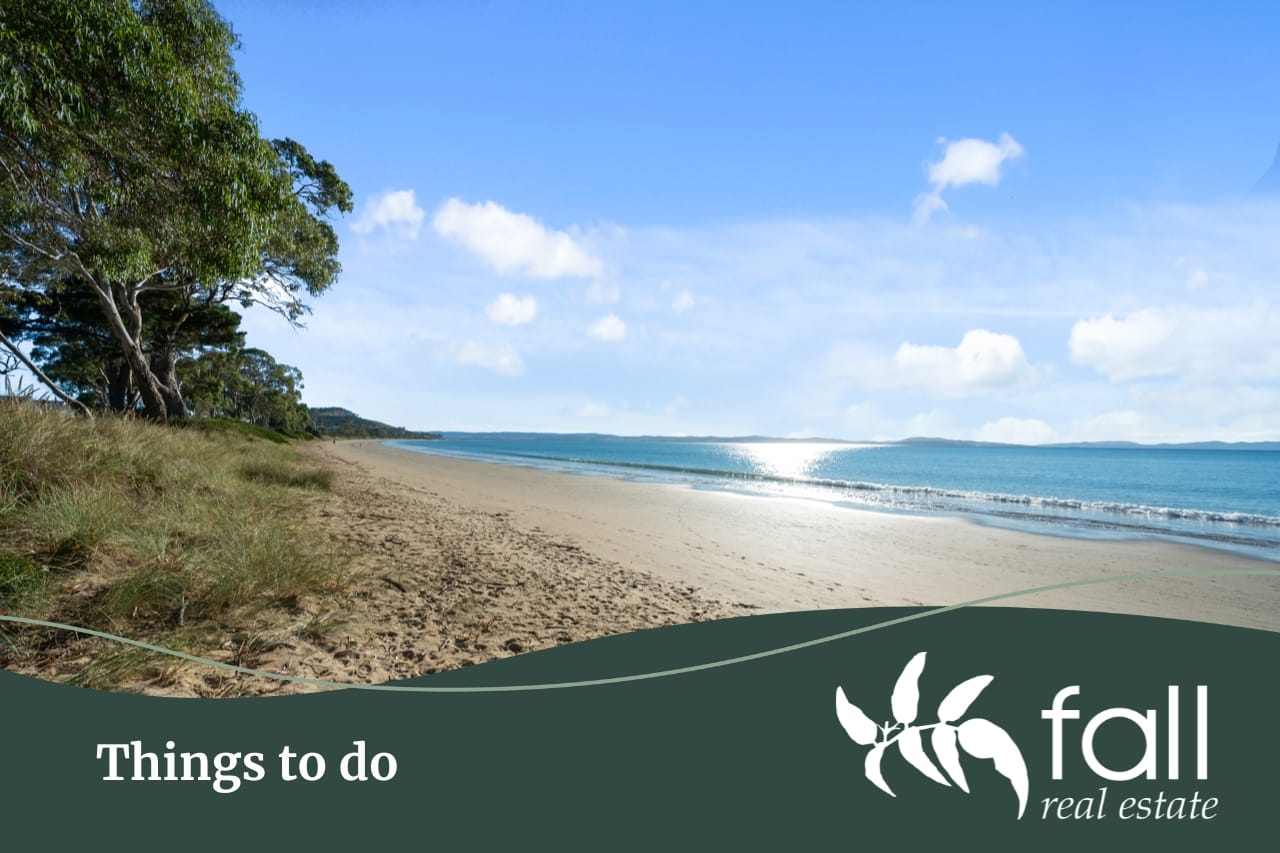 Things to do | Fall Real Estate