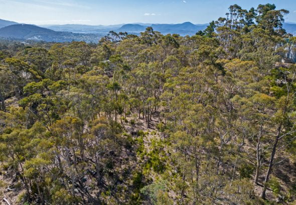 Fall Real Estate 576A Nelson Road, MOUNT NELSON TAS 7007