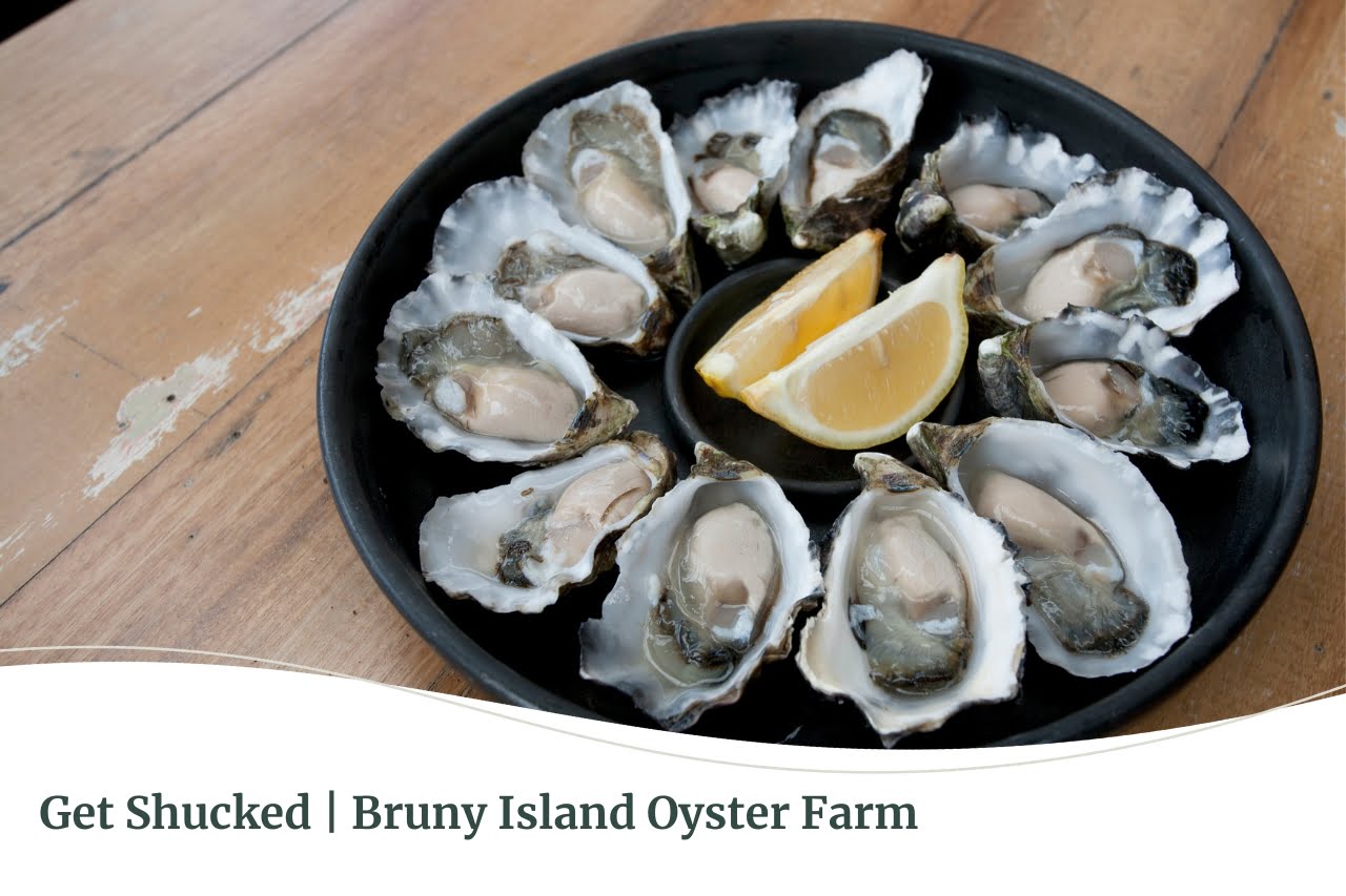 Get Shucked, Bruny Island Tasmania, Fall Real Estate
