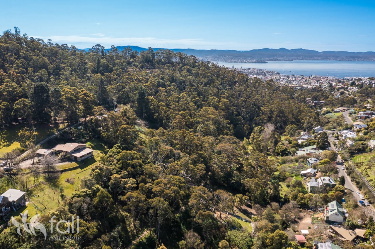 South Hobart, Tasmania, Suburb Profile | Fall Real Estate