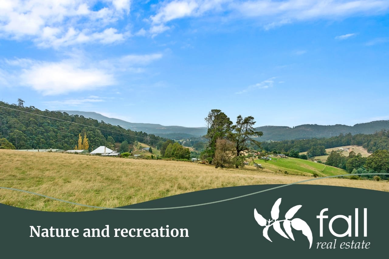 Nature and recreation in Allens Rivulet Nature and recreation in Allens Rivulet