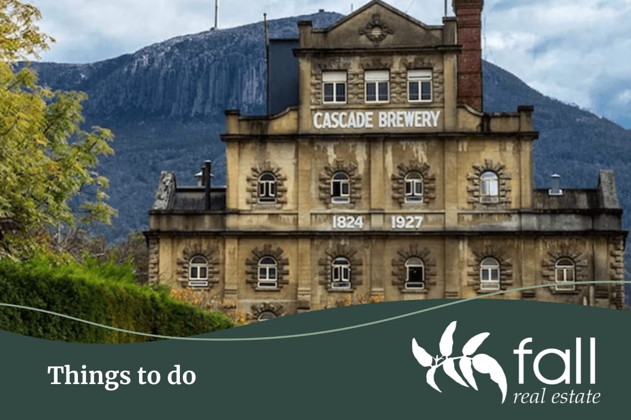 Things to do in South Hobart, Tasmania | Fall Real Estate Things to do in South Hobart, Tasmania, a suburb profile written by Fall Real Estate