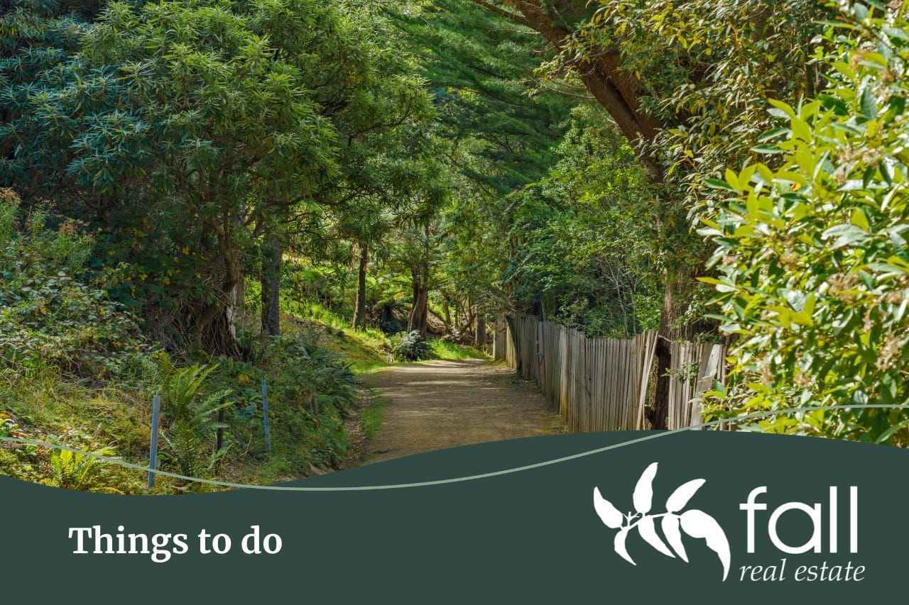 Found out the Things to do in Fern Tree, Tasmania, written by Fall Real Estate