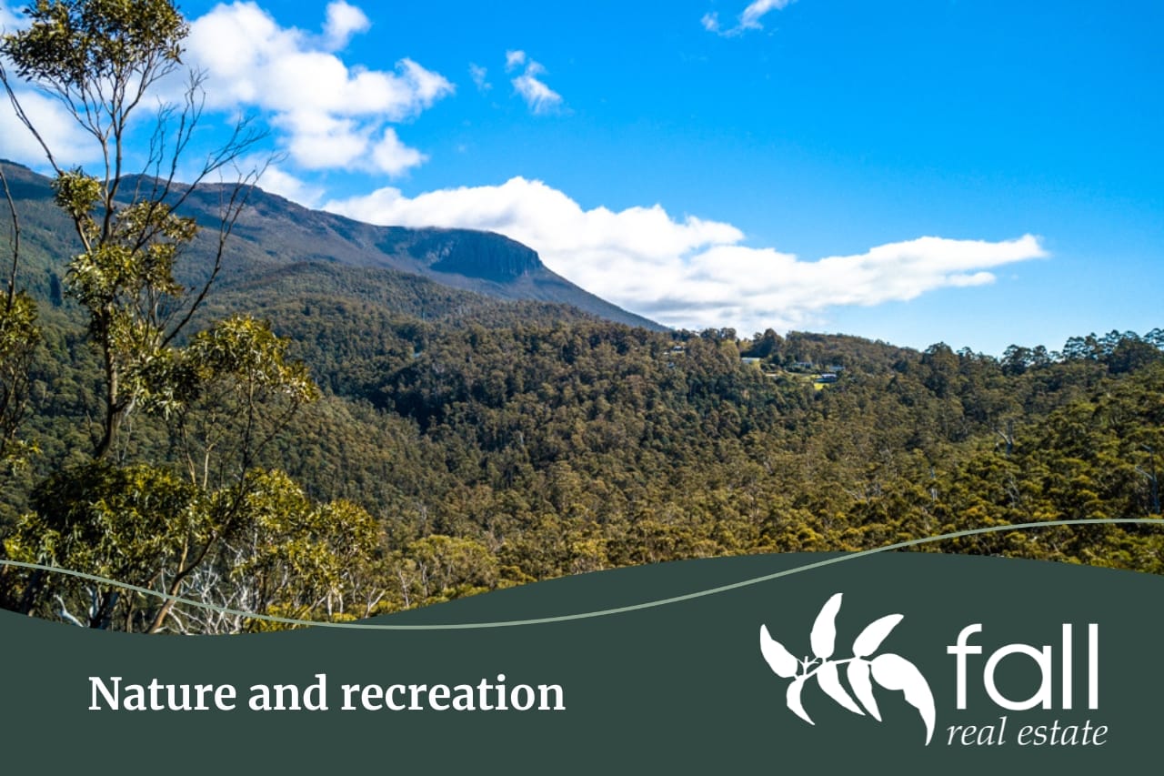 Nature and recreation in Fern Tree | Fall Real Estate