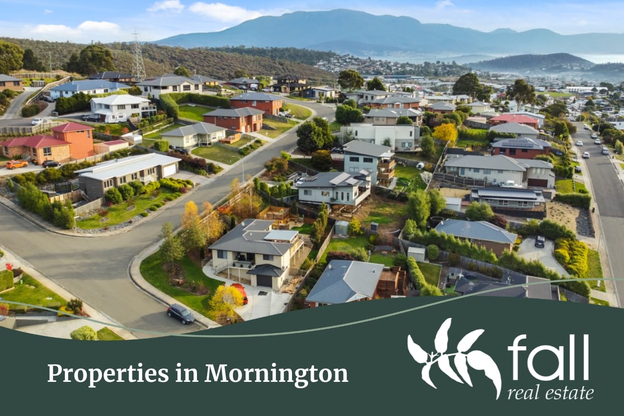 Properties in Morning | Sell and buy with Fall Real Estate