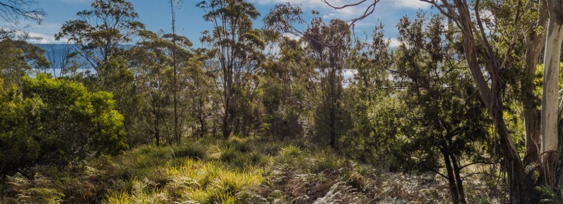 Jude Viney jude viney, bruny island property agent Fall Real Estate Jude Viney