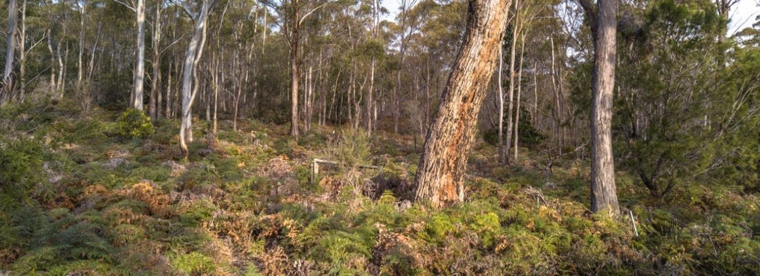 Jude Viney jude viney, bruny island property agent Fall Real Estate Jude Viney