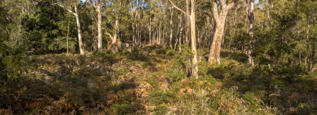 Jude Viney jude viney, bruny island property agent Fall Real Estate Jude Viney