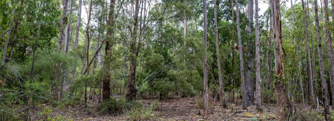 Jude Viney jude viney, bruny island property agent Fall Real Estate Jude Viney