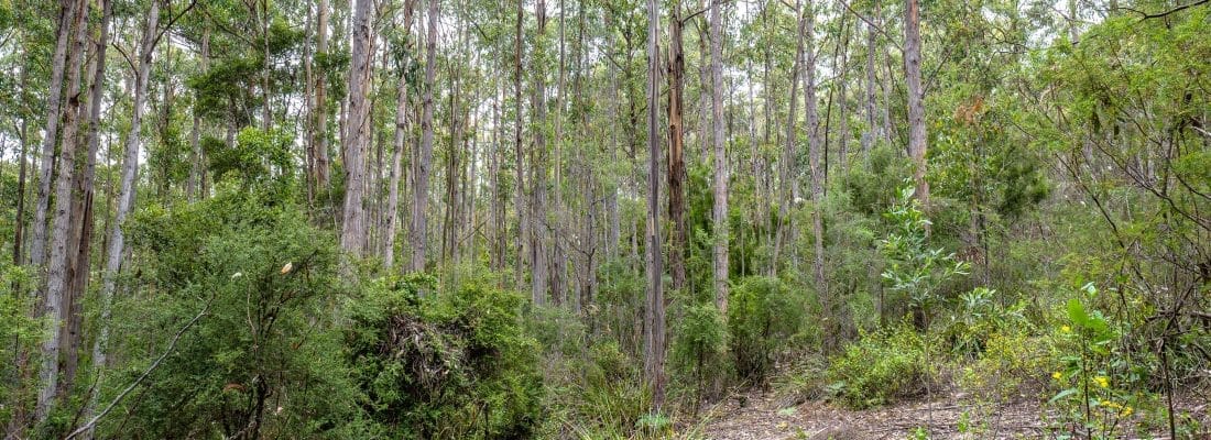 Jude Viney jude viney, bruny island property agent Fall Real Estate Jude Viney