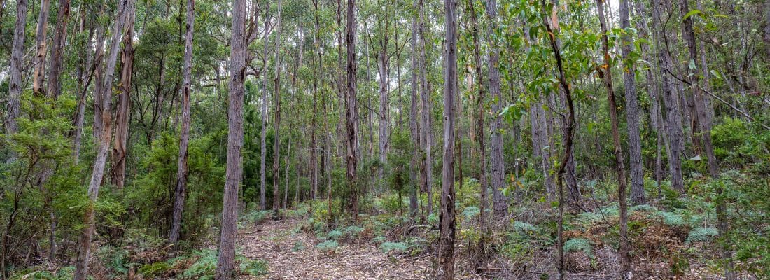 Jude Viney jude viney, bruny island property agent Fall Real Estate Jude Viney