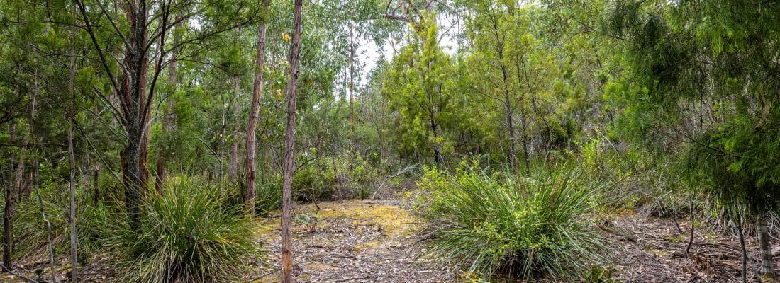 Jude Viney jude viney, bruny island property agent Fall Real Estate Jude Viney