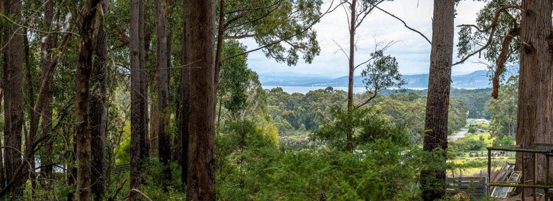 Jude Viney jude viney, bruny island property agent Fall Real Estate Jude Viney