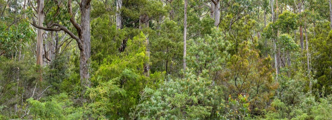 Jude Viney jude viney, bruny island property agent Fall Real Estate Jude Viney