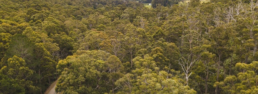 Jude Viney jude viney, bruny island property agent Fall Real Estate Jude Viney