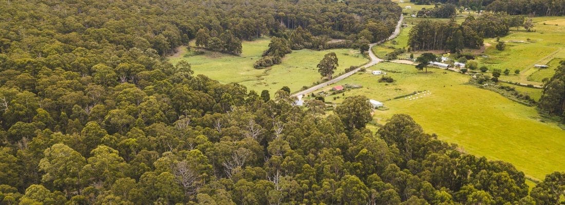 Jude Viney jude viney, bruny island property agent Fall Real Estate Jude Viney