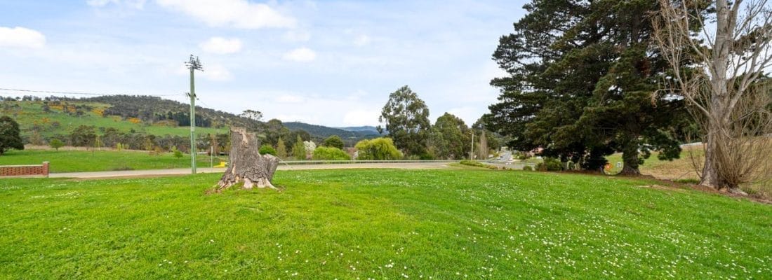 Vlad Gala Vlad Gala Fall Real Estate Vlad Gala