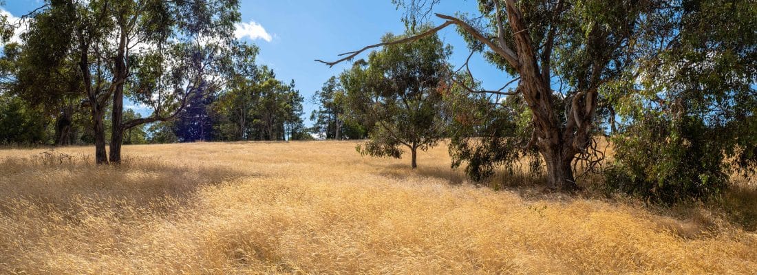 Bruny Island Real Estate Bruny Island Real Estate Fall Real Estate Bruny Island Real Estate