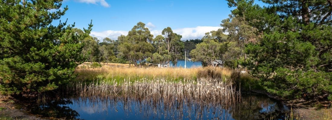 Bruny Island Real Estate Bruny Island Real Estate Fall Real Estate Bruny Island Real Estate