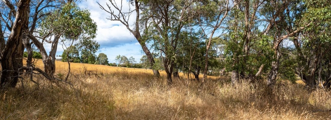 Bruny Island Real Estate Bruny Island Real Estate Fall Real Estate Bruny Island Real Estate