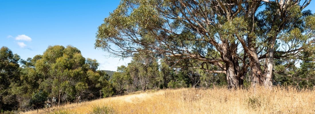 Bruny Island Real Estate Bruny Island Real Estate Fall Real Estate Bruny Island Real Estate