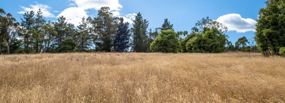 Bruny Island Real Estate Bruny Island Real Estate Fall Real Estate Bruny Island Real Estate