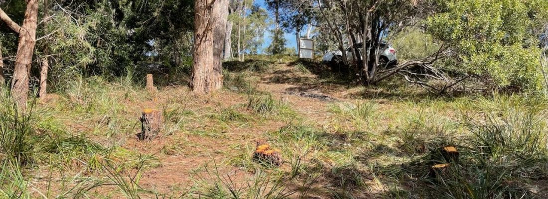 Jude Viney jude viney, bruny island property agent Fall Real Estate Jude Viney