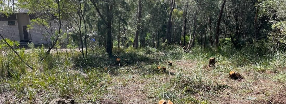 Jude Viney jude viney, bruny island property agent Fall Real Estate Jude Viney