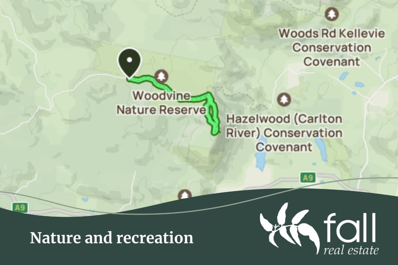 Nature and recreation in Forcett, tasmania Fall Real Estate suburb profile