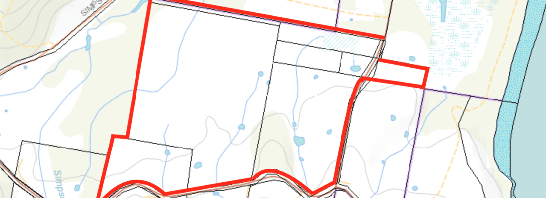 Fall Real Estate Jude Viney