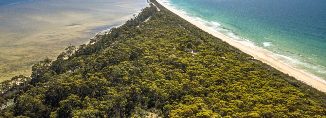 Jude Viney jude viney, bruny island property agent Fall Real Estate Jude Viney