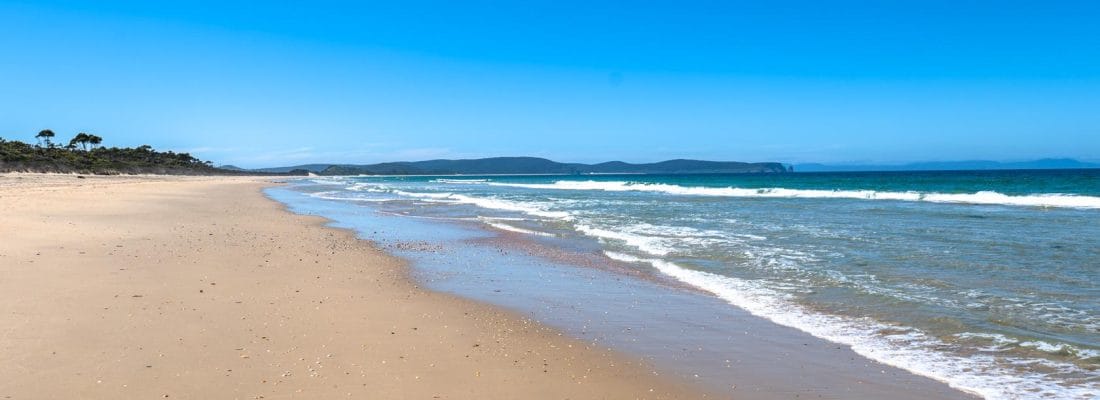 Jude Viney jude viney, bruny island property agent Fall Real Estate Jude Viney