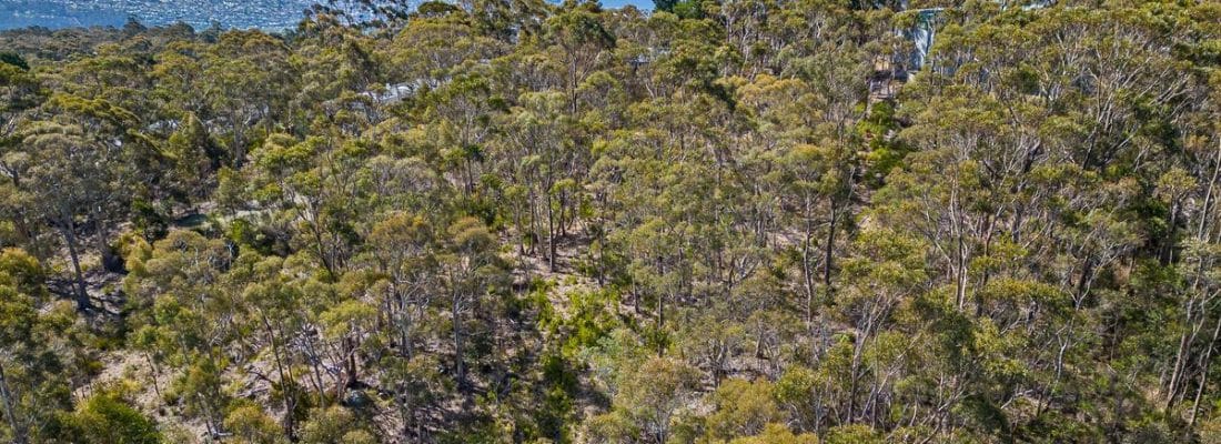 Kim Chandler-Storey Kim Chandler-Storey Fall Real Estate Kim Chandler-Storey