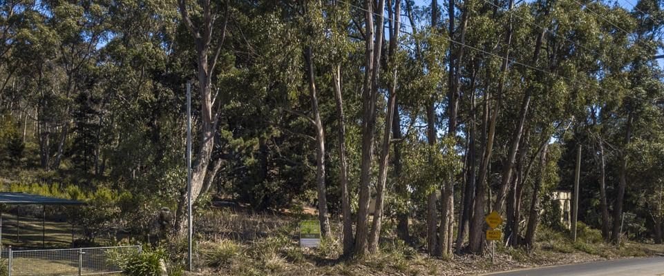 Jude Viney jude viney, bruny island property agent Fall Real Estate Jude Viney