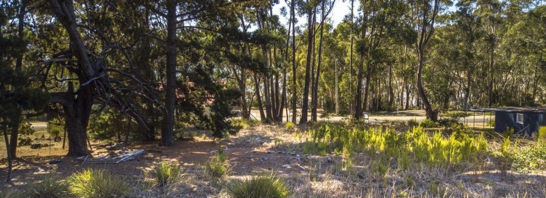 Jude Viney jude viney, bruny island property agent Fall Real Estate Jude Viney