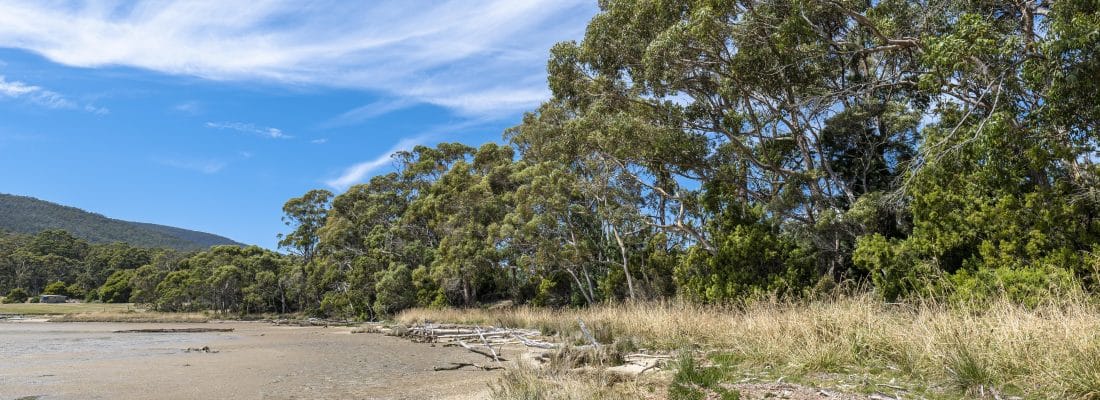 Jude Viney jude viney, bruny island property agent Fall Real Estate Jude Viney