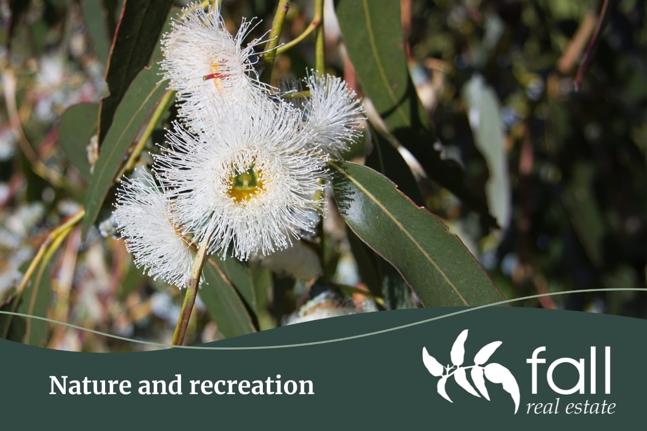 Mount Stuart suburb profile written by Fall Real Estate