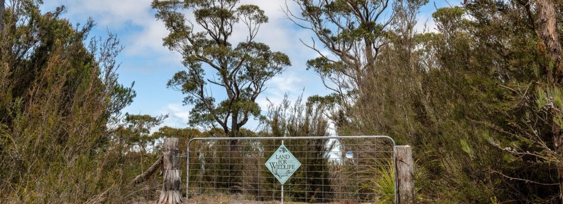 Bruny Island Real Estate Bruny Island Real Estate Fall Real Estate Bruny Island Real Estate