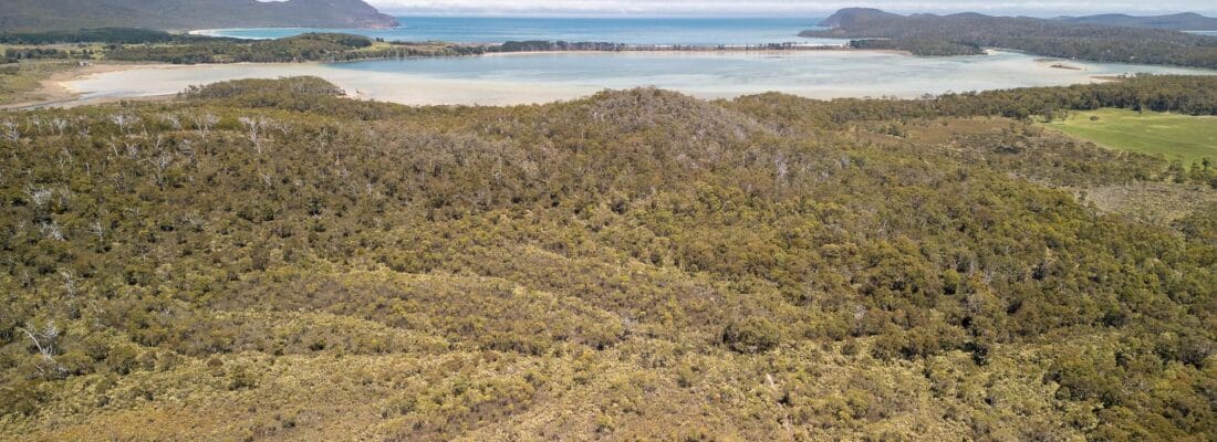 Bruny Island Real Estate Bruny Island Real Estate Fall Real Estate Bruny Island Real Estate