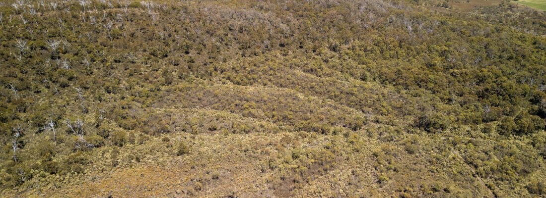 Bruny Island Real Estate Bruny Island Real Estate Fall Real Estate Bruny Island Real Estate