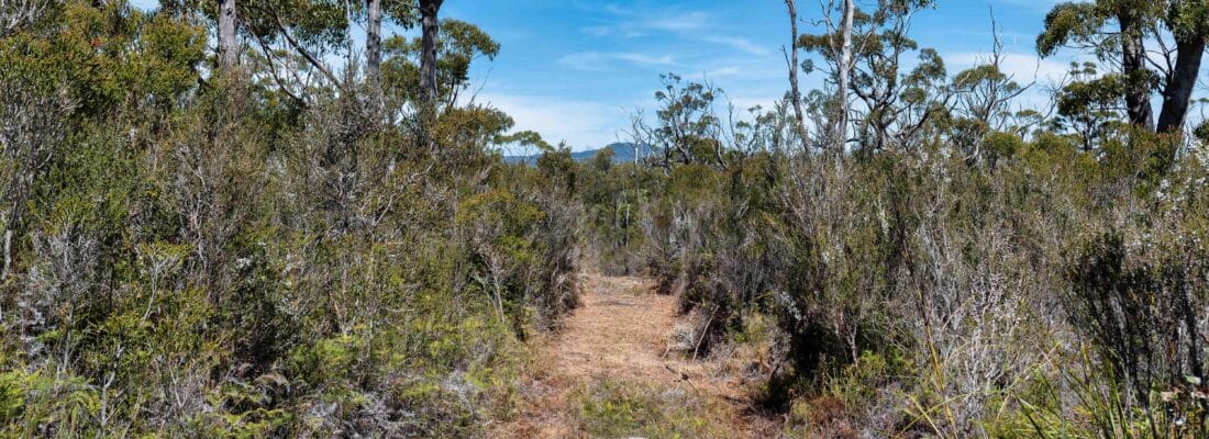 Bruny Island Real Estate Bruny Island Real Estate Fall Real Estate Bruny Island Real Estate